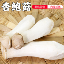 杏鲍菇应该怎么去腥味