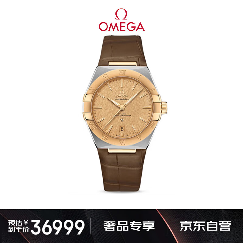 欧米茄(OMEGA)瑞士手表 星座系列机械男表131.23.39.20.08.001 送礼物