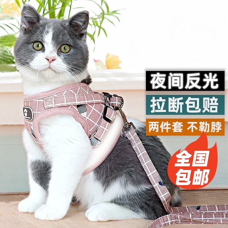 准备养猫的朋友注意了，家养的宠物猫，可以带出去遛吗？ 3785