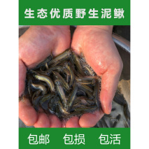 2,泥鳅 蟹:引起中毒泥鳅性温补;而蟹药性冷利,二者功能相反,若同时