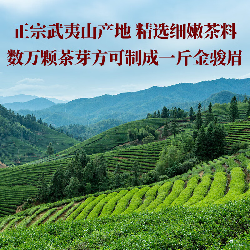 八马茶业红茶 好运成双武夷山特级金骏眉双瓷罐礼盒304g 送礼