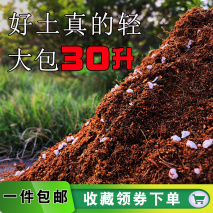 昙花的养殖方法（昙花的养殖方法之五大要点） 第5张