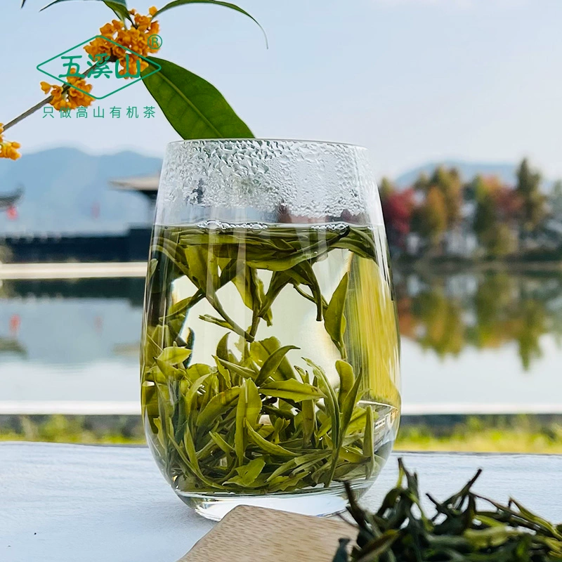 五溪山坐落于黄山黟县,属于黄山支脉,海拔约1200米,五溪山有机茶园