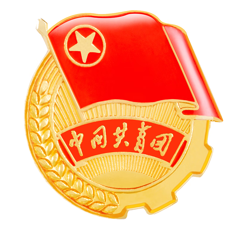 团员档案里面有什么东西