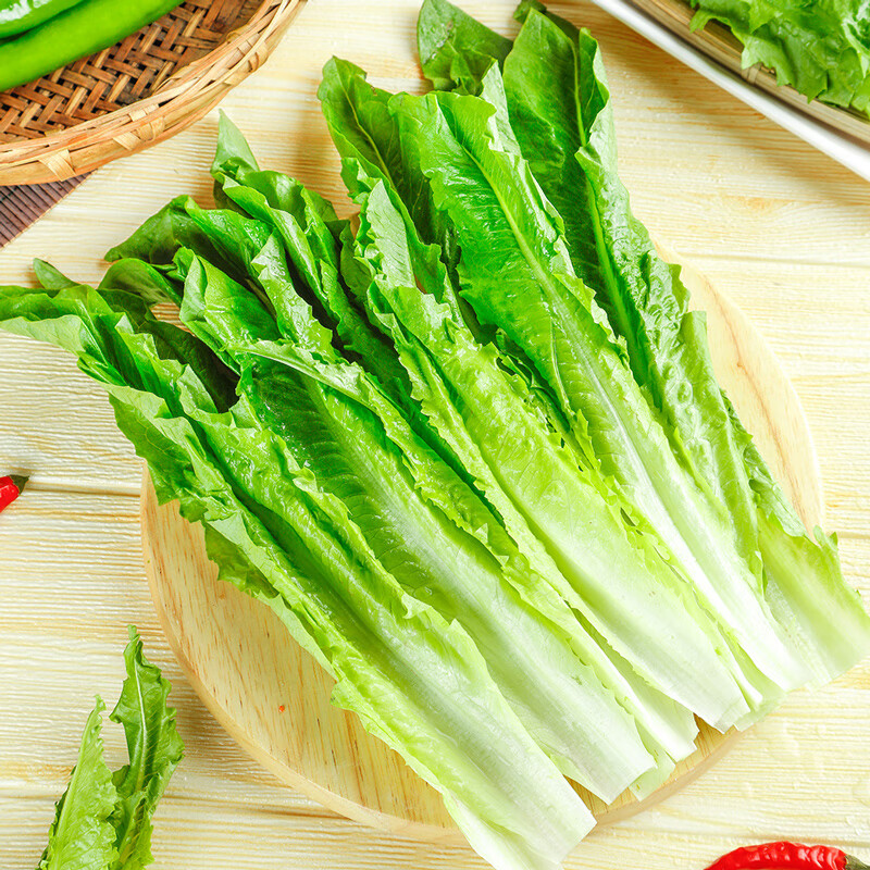 油麦菜生长期有多久?全面解析油麦菜生长天数