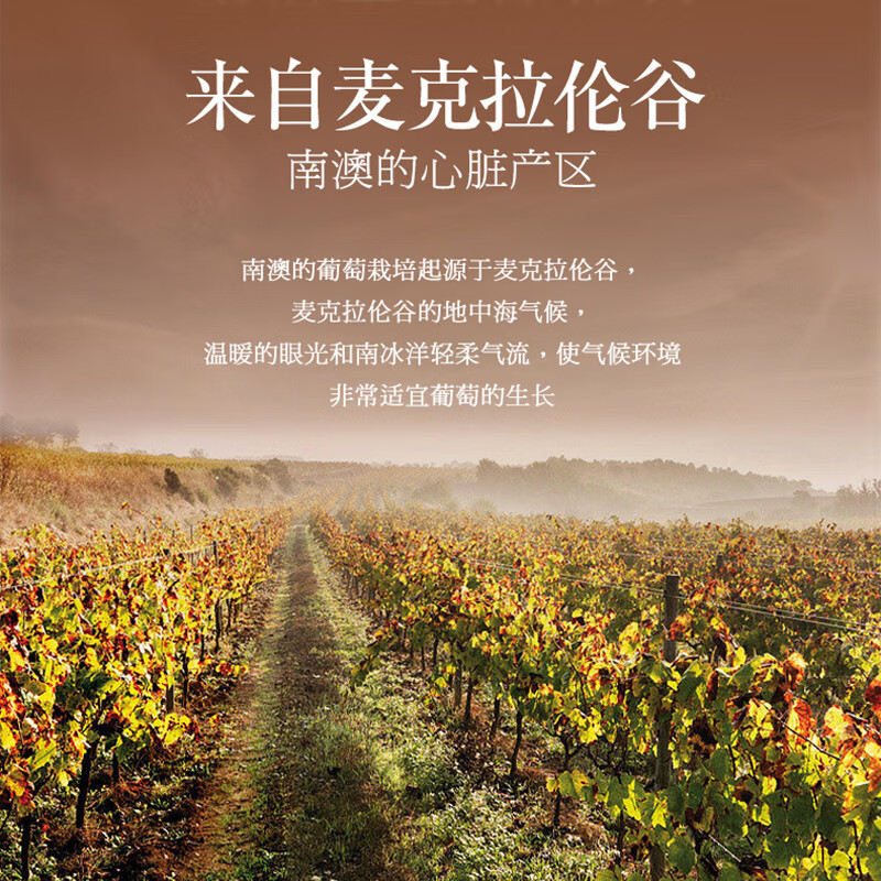 口碑比较好的十大红酒品牌,这十款总有一款合适你