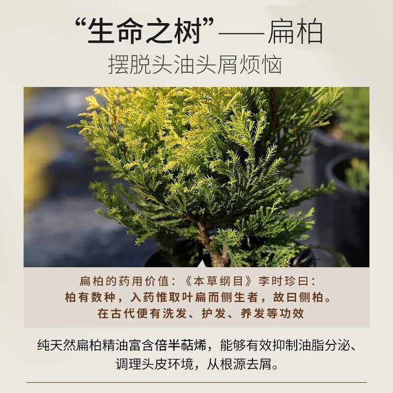 逛超市时,3款因包装而容易被"冷落"的洗发水,不贵却真心好用